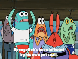 season 4 episode 13 GIF by SpongeBob SquarePants
