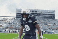 Eagles Ak GIF by UCF Knights