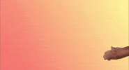 Woman GIF