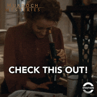 Check It Out Look Here GIF by Ovation TV