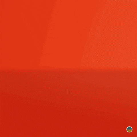 Egg Birth GIF by ELYX