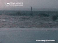 Road Waiting GIF by Texas Archive of the Moving Image