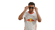 Oh Yeah Peace Sticker by RB Leipzig