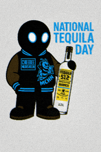 Alcohol Bottle GIF by chebemchn