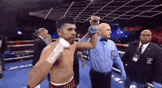 top rank punches GIF by Top Rank Boxing