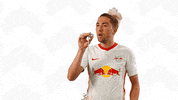 Happy Kevin Kampl GIF by RB Leipzig