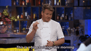 gordon ramsay fox GIF by Hell's Kitchen