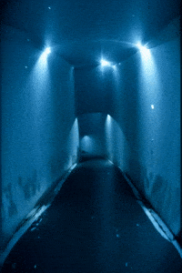 Dream Satisfy GIF by Aleksey Efremov