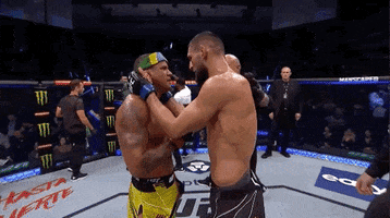 Sport Mma GIF by UFC
