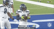 Seattle Seahawks Football GIF by NFL