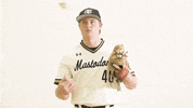 Ncaa Baseball Celebration GIF by Purdue Fort Wayne Athletics
