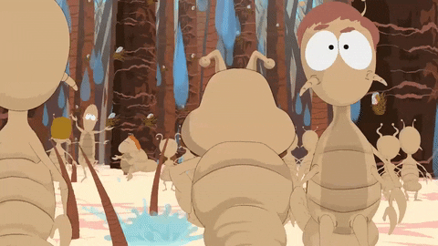 scared bugs GIF by South Park 