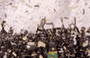Celebrate Columbus Crew GIF by Major League Soccer