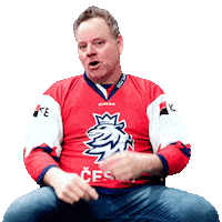 Hockey Kb Sticker by Komercka