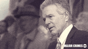 TNTDrama tnt major crimes andy flynn GIF