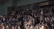 Basketball Win GIF by Worcester Wolves