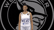 Basketball Dab GIF by Worcester Wolves