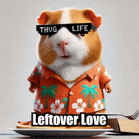 GIF by Guinea Gambino