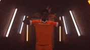 Hamilton Forge GIF by Hamilton Sports Group