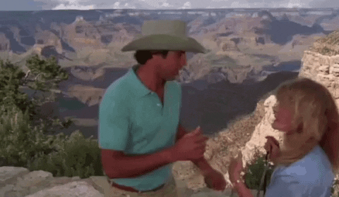 vacation movie grand canyon GIF