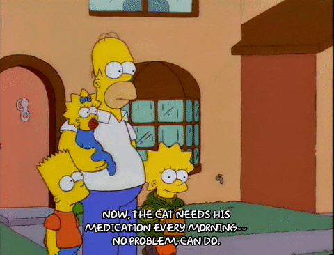 Lisa Simpson GIF by The Simpsons
