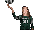 Beach Volleyball Sticker by Hawaii Athletics