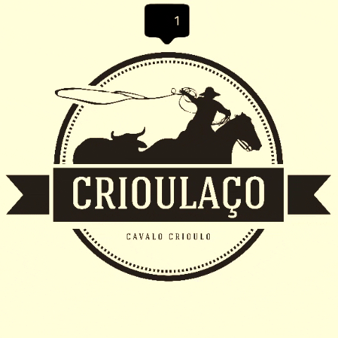 Cavalo Crioulo GIF by ABCCC