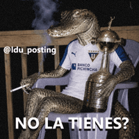 Copa Libertadores Liga GIF