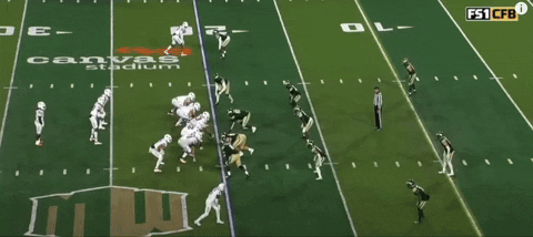 bson1011 giphyupload GIF