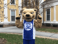 college mascot GIF by Wheaton College (MA)
