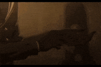 Animation Daddy GIF