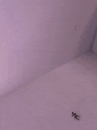 laframe GIF by GIPHY Frame