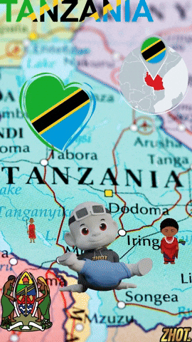 Tanzania Asante GIF by Zhot