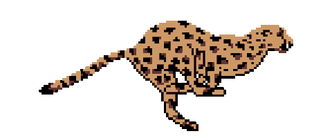 leopard Sticker