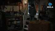 Happy Fun GIF by Mola TV Kids