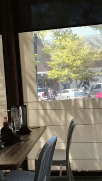 Police Called on Man Waving Law Enforcement-Support Flag Outside Little Rock Nike Store
