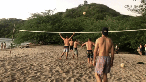 AppSumo giphyupload beach volleyball sunset GIF