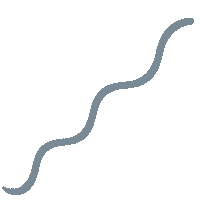 Wave Snake Sticker by BKIND