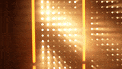 Softball Tennessee GIF by NCAA Championships