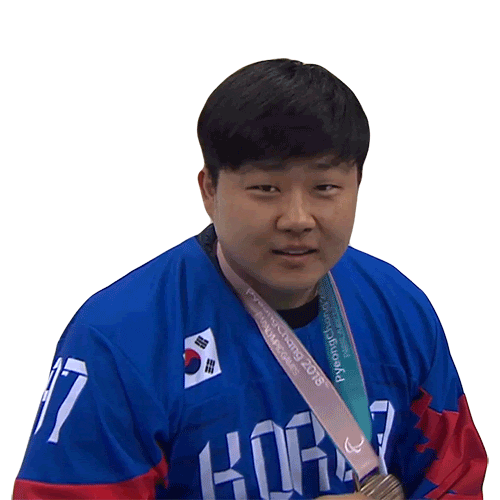 Winter Olympics Sport Sticker by International Paralympic Committee
