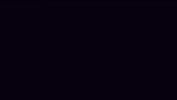 Shib Coin GIF by SHIB MEMES