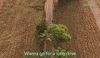 Wanna Go GIF by Skoda India