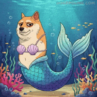 Shiba Inu Lol GIF by Doge Pound