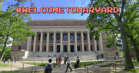 school college GIF by Harvard University