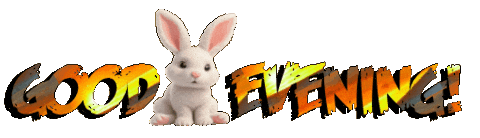 Panda Bear Fox Sticker