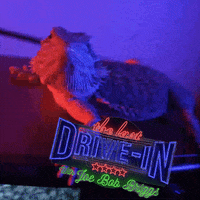 Mbss girl sign drive prince GIF