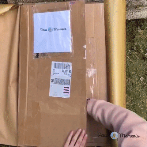 PawMoments giphygifmaker GIF