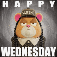 Wednesday Hamster GIF by Grind