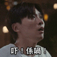 Tiger Mirror GIF by ViuTV