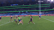 Womens Rugby League Nrl GIF by Canberra Raiders